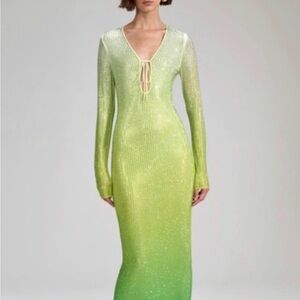 NWT Self-Portrait Green Mesh Maxi Dress